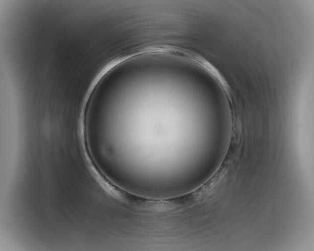 X0000114600811200910191617