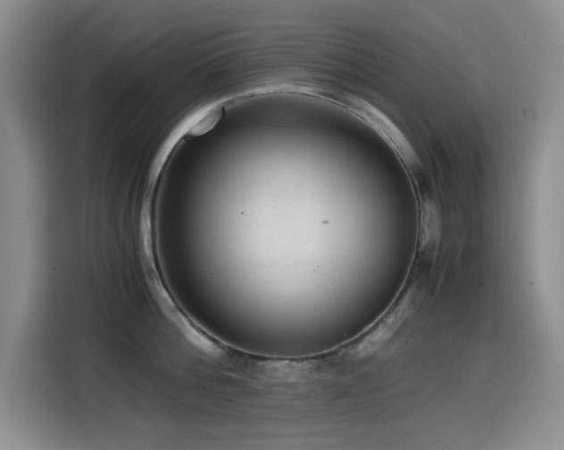 X0000114600812200910191617