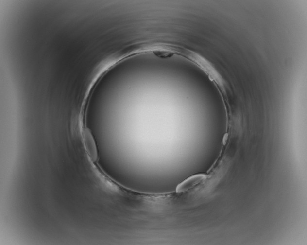 X0000114600813200910191617