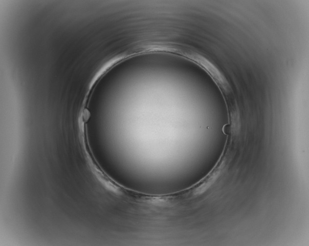 X0000114600814200910191617