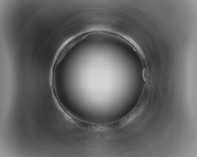 X0000114600815200910191617