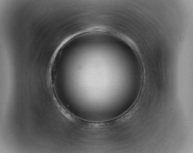 X0000114600816200910191617