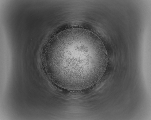 X0000114600817200910191616