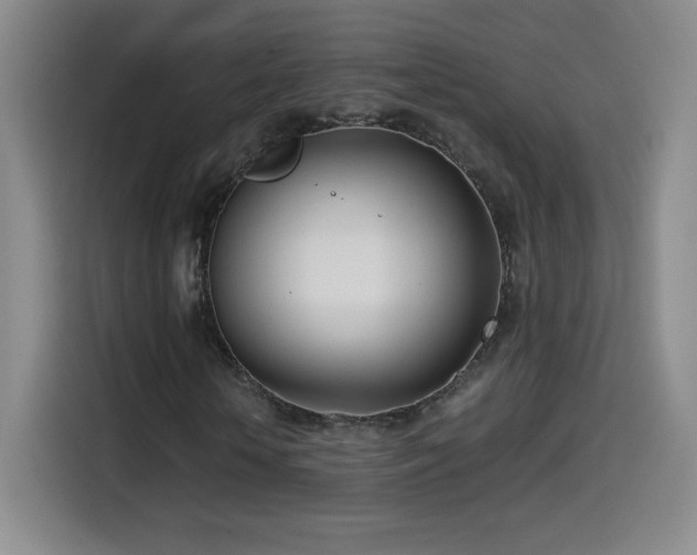 X0000114600818200910191616