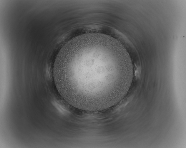 X0000114600819200910191616