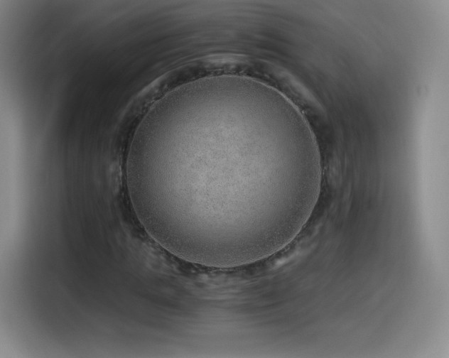 X0000114600821200910191616