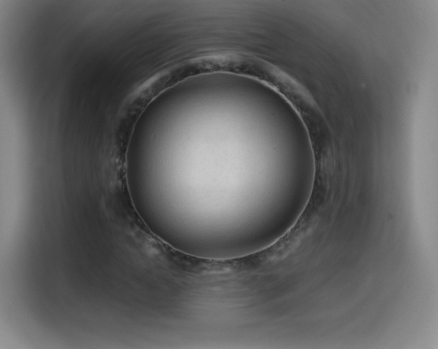 X0000114600822200910191616