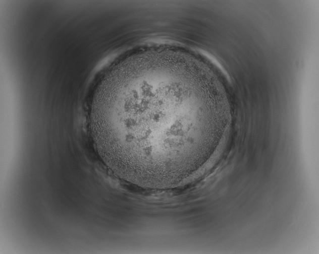 X0000114600823200910191616