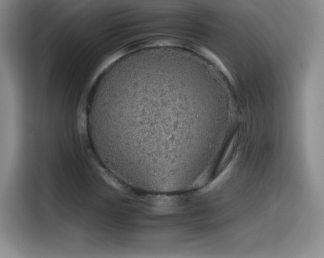 X0000114600827200910191616