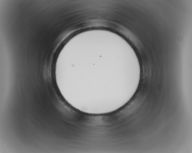 X0000114600828200910191616