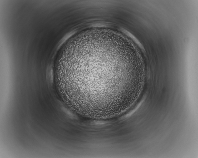 X0000114600829200910191616