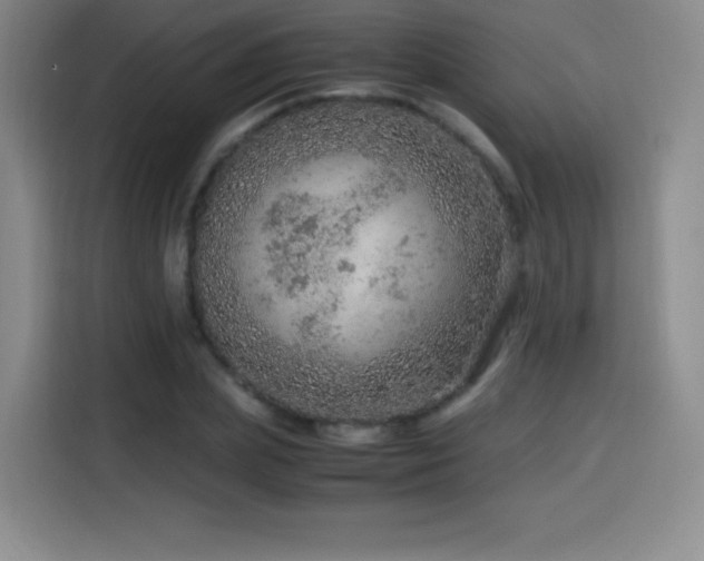 X0000114600831200910191616