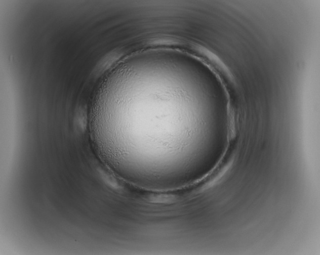 X0000114600833200910191617