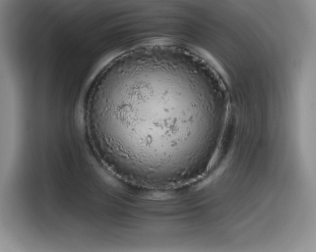 X0000114600835200910191617