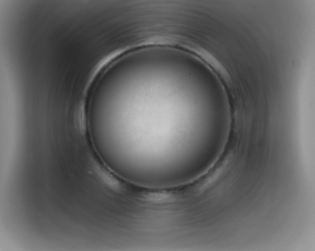 X0000114600838200910191617