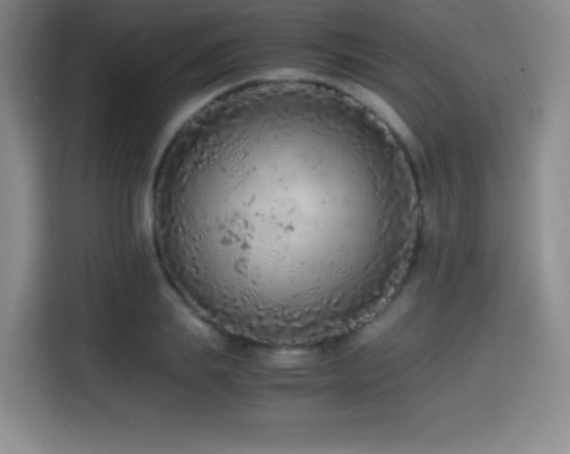 X0000114600839200910191617