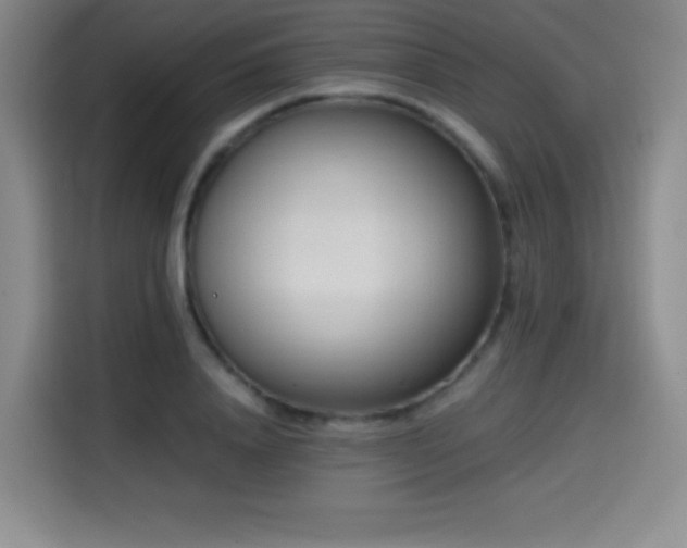 X0000114600840200910191617