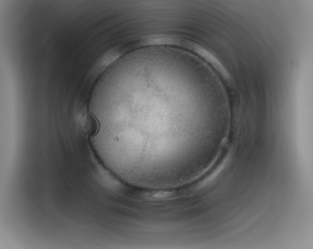 X0000114600841200910191617