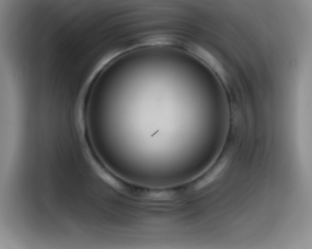 X0000114600843200910191617