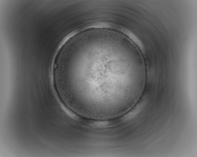 X0000114600845200910191617