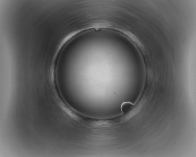 X0000114600846200910191617