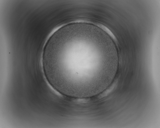 X0000114600847200910191617