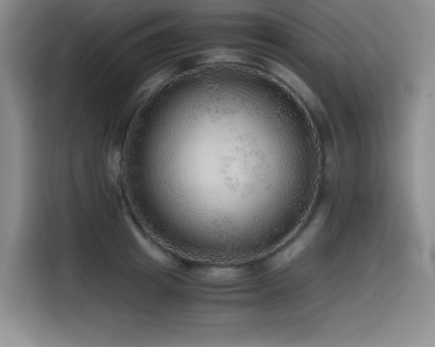 X0000114600849200910191617