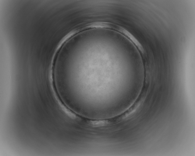 X0000114600853200910191617