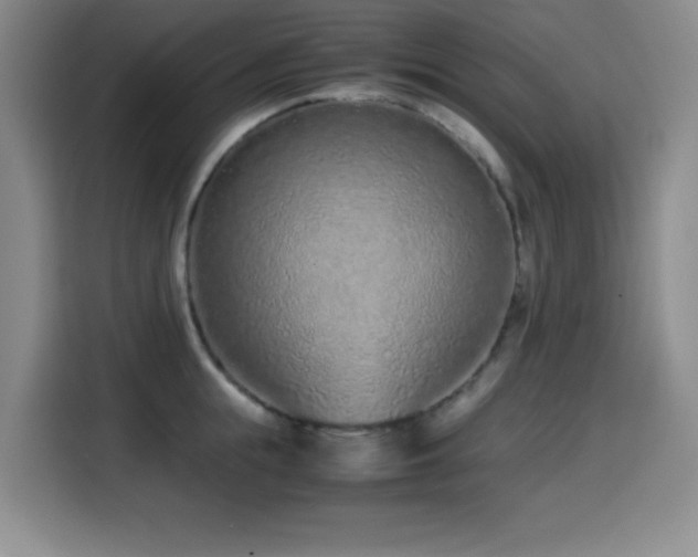 X0000114600855200910191617