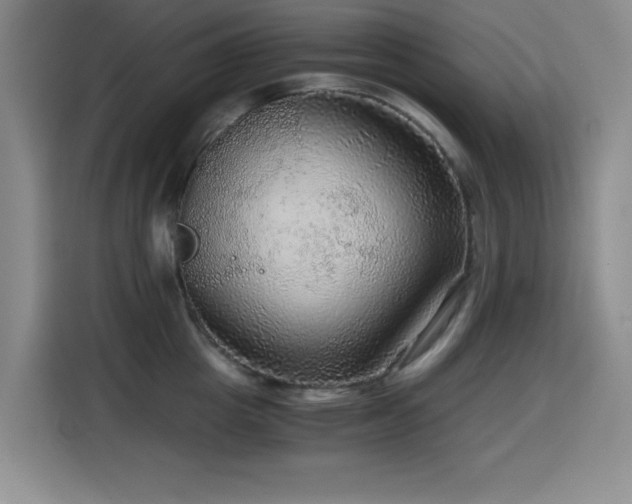 X0000114600857200910191617