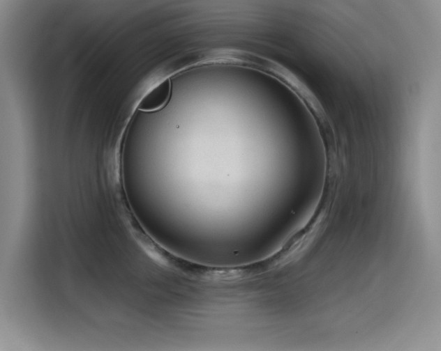 X0000114600858200910191617