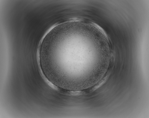 X0000114600859200910191617