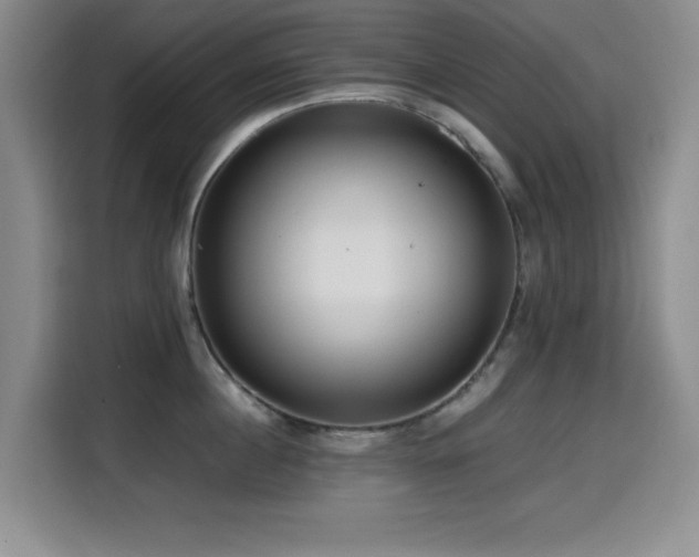 X0000114600860200910191617