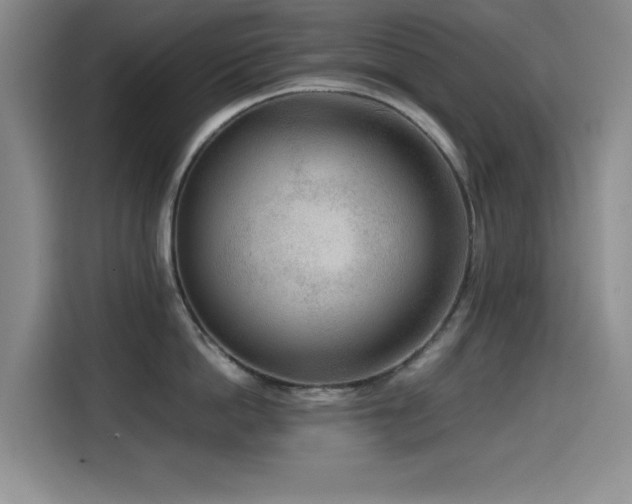 X0000114600862200910191617