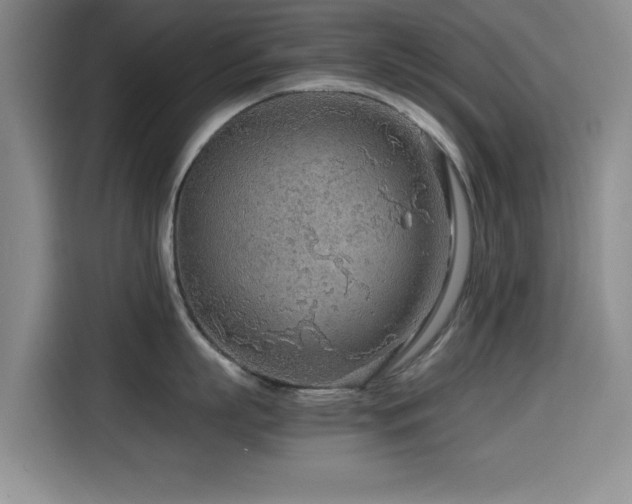 X0000114600863200910191617