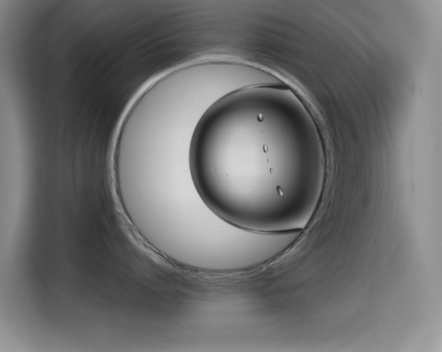 X0000114600864200910191617