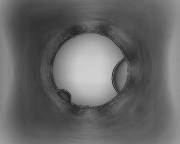 X0000114600865200910191616