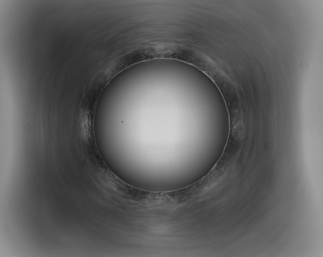 X0000114600866200910191616