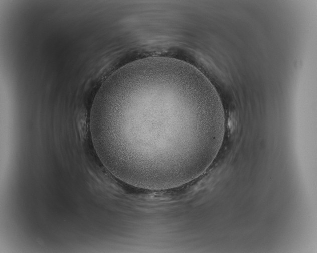 X0000114600867200910191616