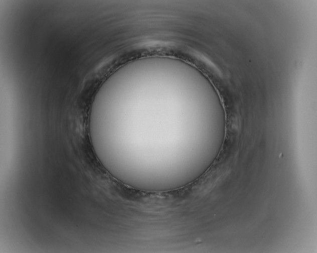 X0000114600869200910191616