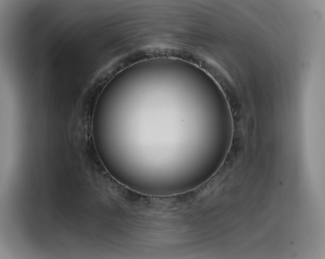 X0000114600870200910191616