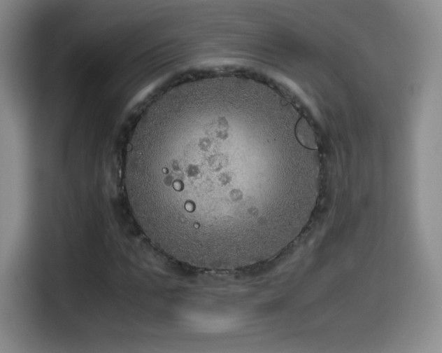 X0000114600871200910191616