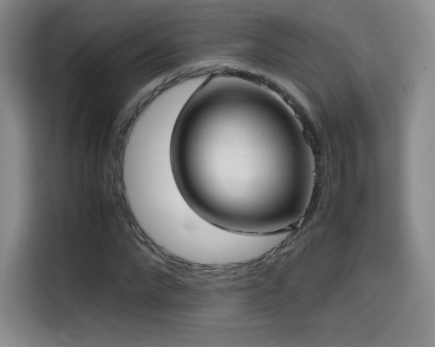 X0000114600872200910191616