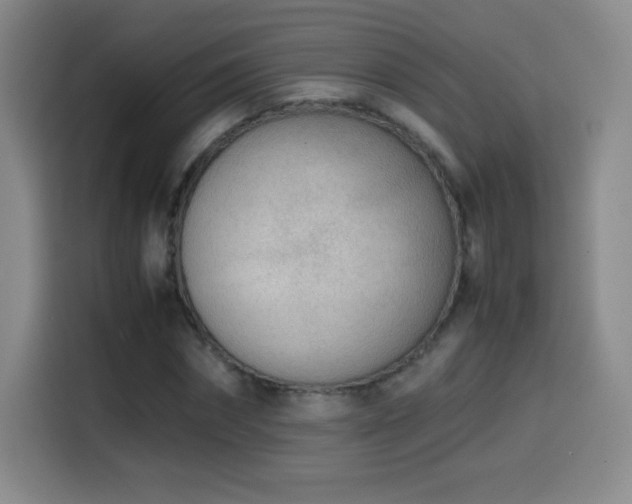 X0000114600874200910191616