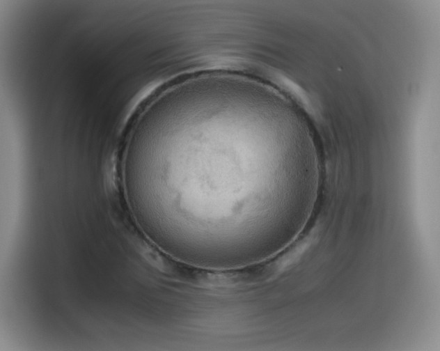 X0000114600875200910191616