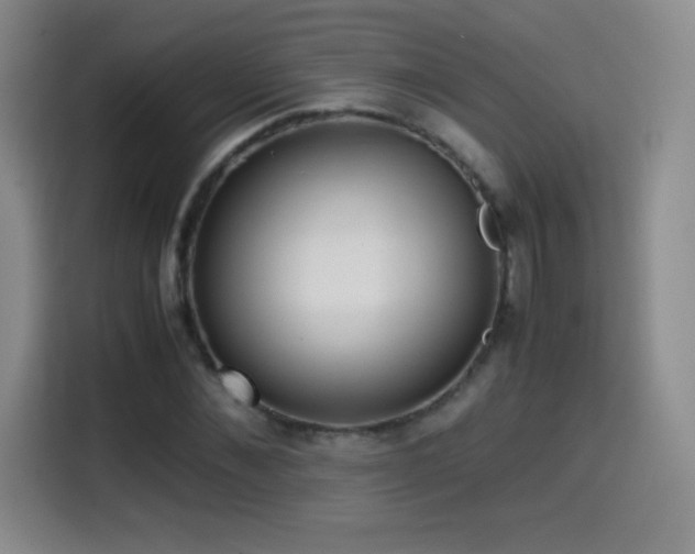 X0000114600876200910191616