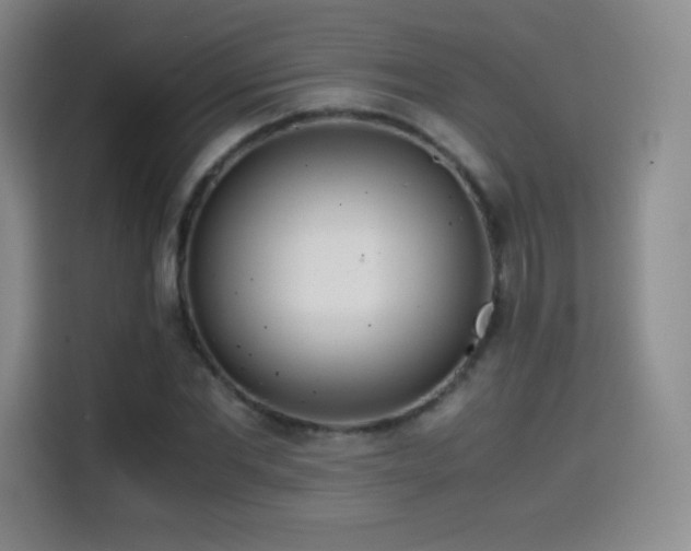 X0000114600877200910191616