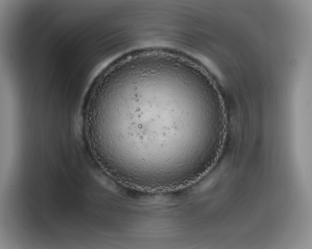 X0000114600879200910191616