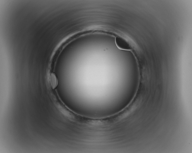 X0000114600880200910191616