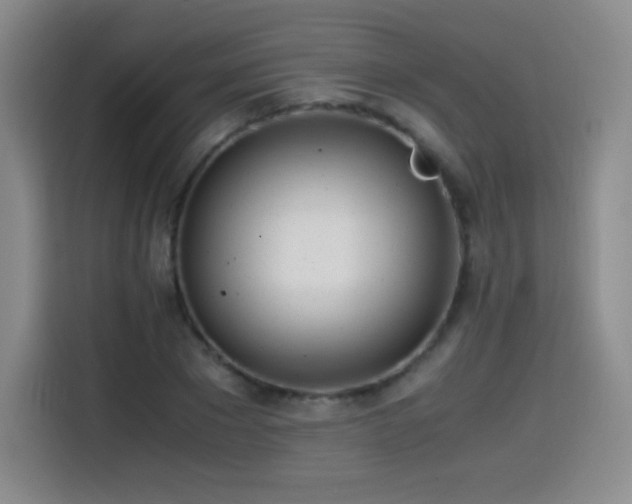 X0000114600881200910191616